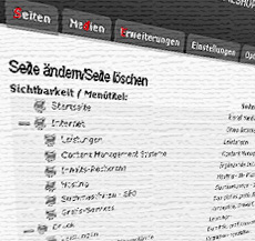 Content Management Systeme - CMS